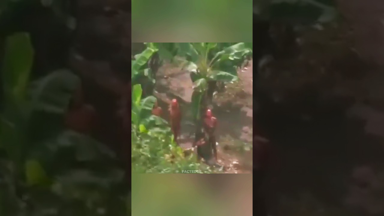 Man ILLEGALLY Entered INDIA's Most SCARY Island - North Sentinel #