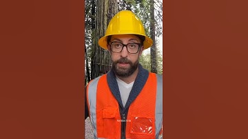 Tree Cutting FAIL – This Went So Wrong! 🌲💥 #treefelling #chainsawman #oldtree