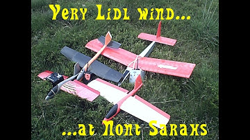 Lidl - the simple rudder-elevator option  :-)