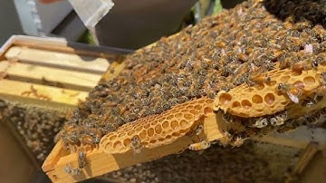 How to Install a Nuc