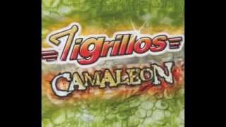 Video thumbnail of "la gringa los tigrillos"