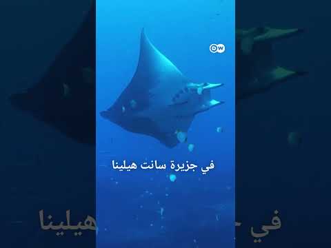 #وثائقي #shorts جزيرة سانت هيلينا