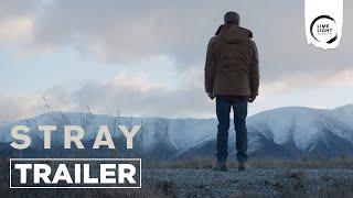 STRAY - Trailer