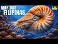 O Mar das Filipinas Esconde Algo Antigo — E Quase Ninguém Já Viu - Documentários do Fundo do Mar