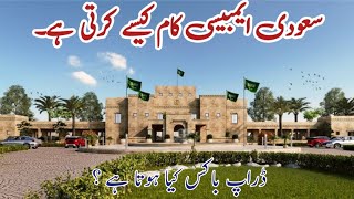 Saudi Embassy Working Criteria سعودی ایمبیسی کے کام کرنے ک