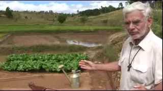 CODEGAZ et la genèse du SRI ( système de riziculture intensive) à Madagascar
