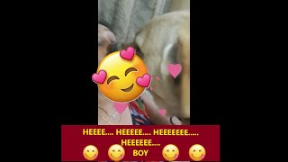 COCO & ANGEL LOVES MUM| WATCH THE SUPER FUNNY VIDEO TILL THE END | JOIN ME TO WATCH MORE...