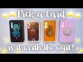 Is This Connection Worth The Wait? 😶⏱ Detailed Pick a Card Tarot Reading ✨