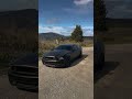 Mustang Vehicle Wrap