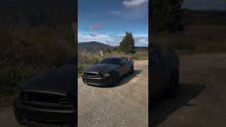 Mustang Vehicle Wrap