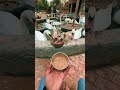 Pakistan Ki Sab Se Unique Family Activity | Hand Feeding Experience|Bird Aviary| Multi Zoo B-17 #zoo