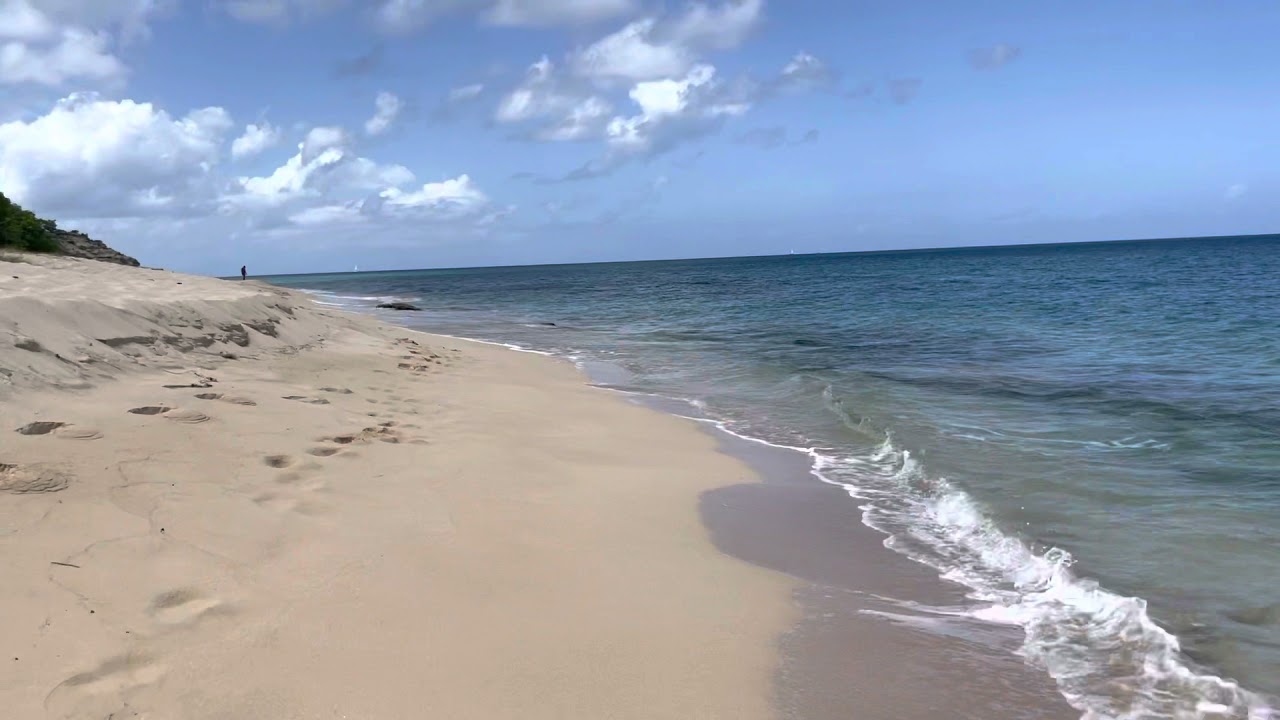 Hawksbill Antigua Eden beach YouTube