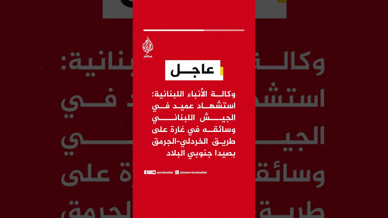 وكالة الأنباء اللبنانية: استشهاد عميد في الجيش اللبناني وسائقه في غارة على طريق الخردلي-الجرمق بصيدا