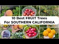 Growing the top 10 best fruit trees in southern california