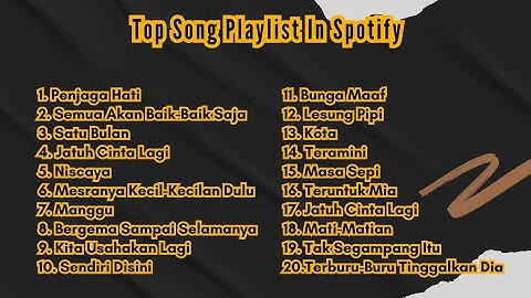 Spotify Top Hits Indonesia 2025