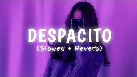 Despacito Slowed Reverb | Luis Fonsi Despacito Slowed and Reverb | Despacito Lofi | Luis Fonsi Song