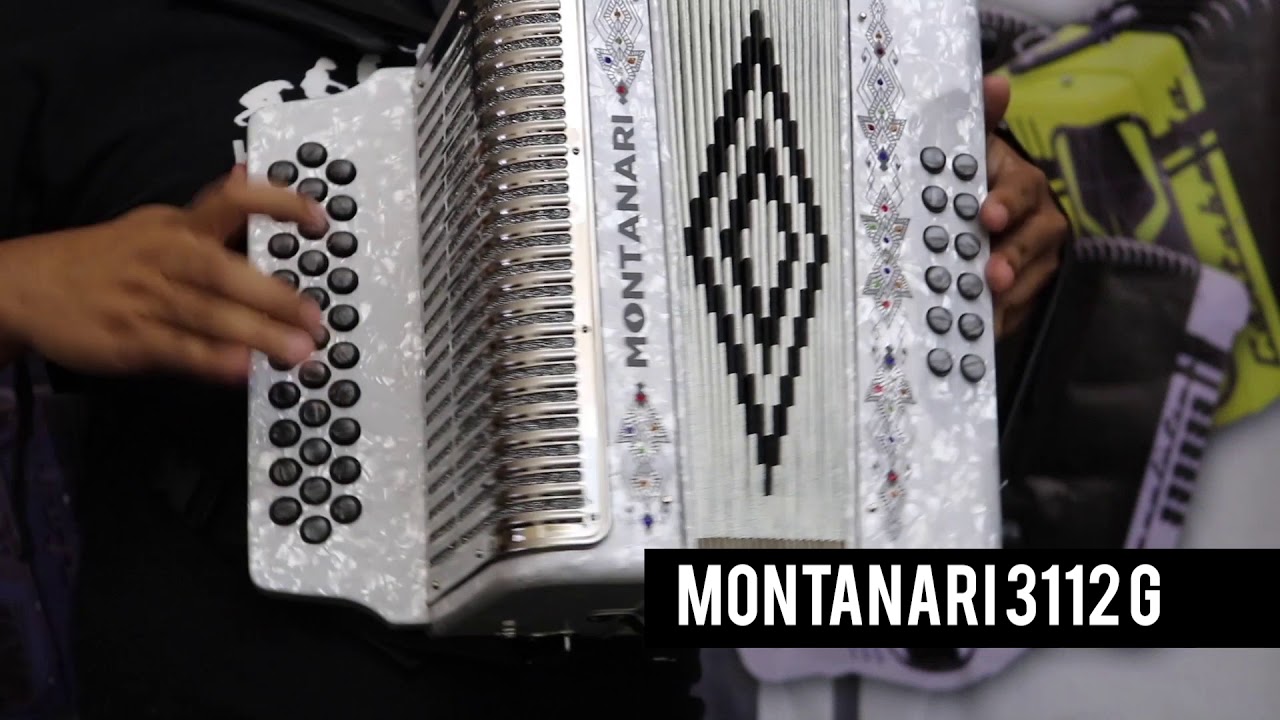 Montanari accordion Outlet