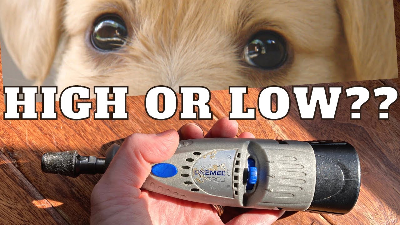 Dremel Tool Dog Nail Grinder Review: Is It Better Than Traditional Pet Nail  Clippers?