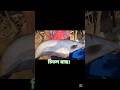 চিতল মাছ।#shorts #fish #vlog #Fishing man2.2 #fishingvideo  #virall_video #short video #reels video