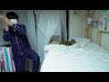 ハッピーウェディング前ソングを踊るおじさんを見てあくびをする茶々さん