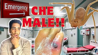 Un RAGNO VIOLINO🕷️ mi ha MORSO😨 HO "quasi" PERSO il PIEDE⚠️ *velenoso*