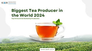 Biggest Tea Producer in the World 2024 Top 10 Countries Ranked by Production Biggest Tea Producer in the World 2024 Top 10 Countries Ranked by Production