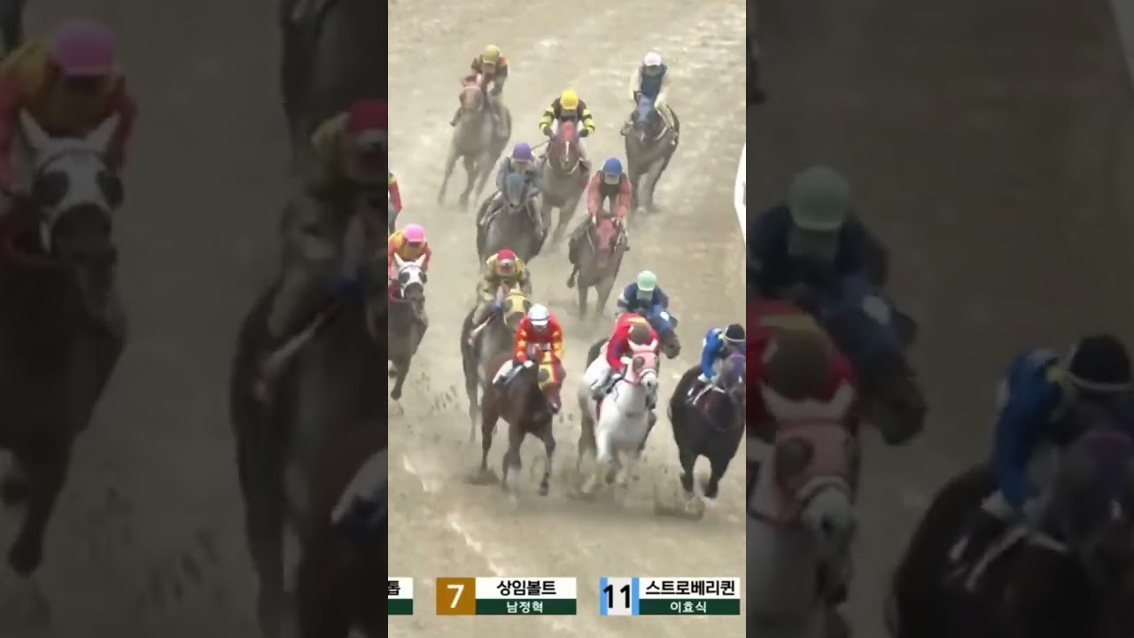 또29,4배적중6-4 🐎  년 잘되는해네요01055876275