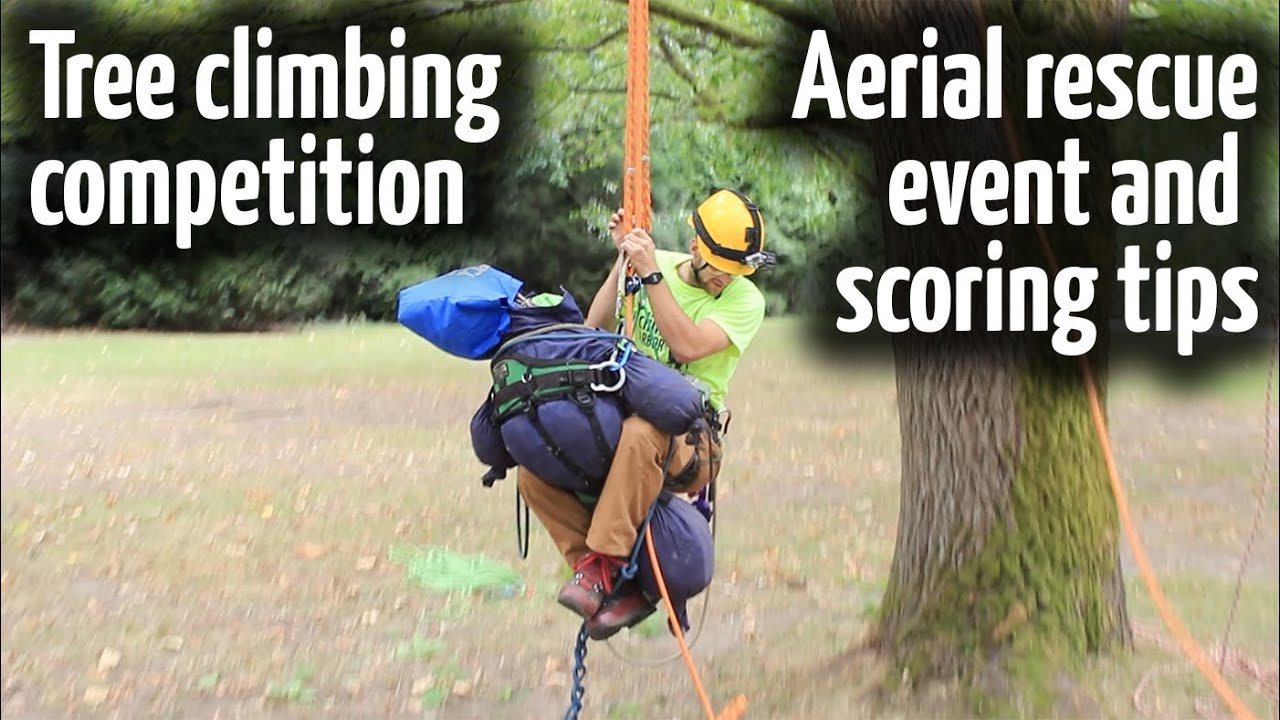 Competition Tree Climbing Tips Work Climb Youtube