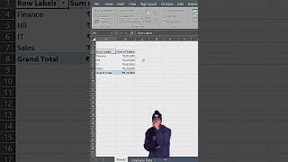 Pivot Table Magic: Summarize Data in 30 Seconds! #datacleaning #excel #dataextractor #exceltips