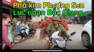 Cập Nhật giá vải Thiều vải thanh Hà tại phố kim Phượng Sơn lục ngạn Bắc Giang ngày 8/6/2024