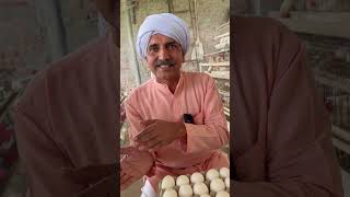 अंडे 🥚का फ़ंडा 🐓देख के चौक जाओगे 😱 #layerpoultryfarming