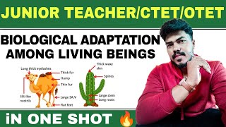 Biological Adaptation among Living beings || Junior Teacher || OTET || CTET || Life Science