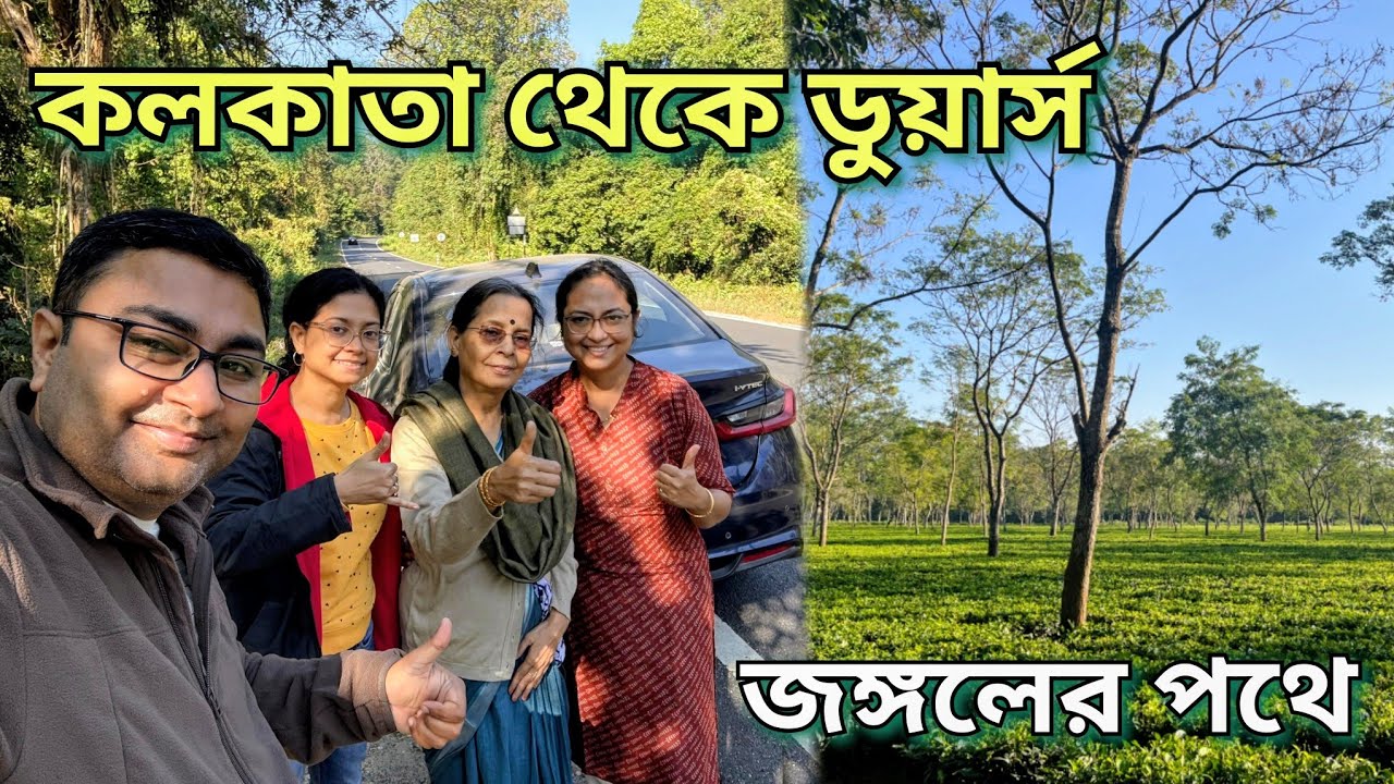 Kolkata to Gorumara Forest Night Drive 🌳🦌 Dooars Road Condition Dec 2025 | Honda City Road Trip 🚙