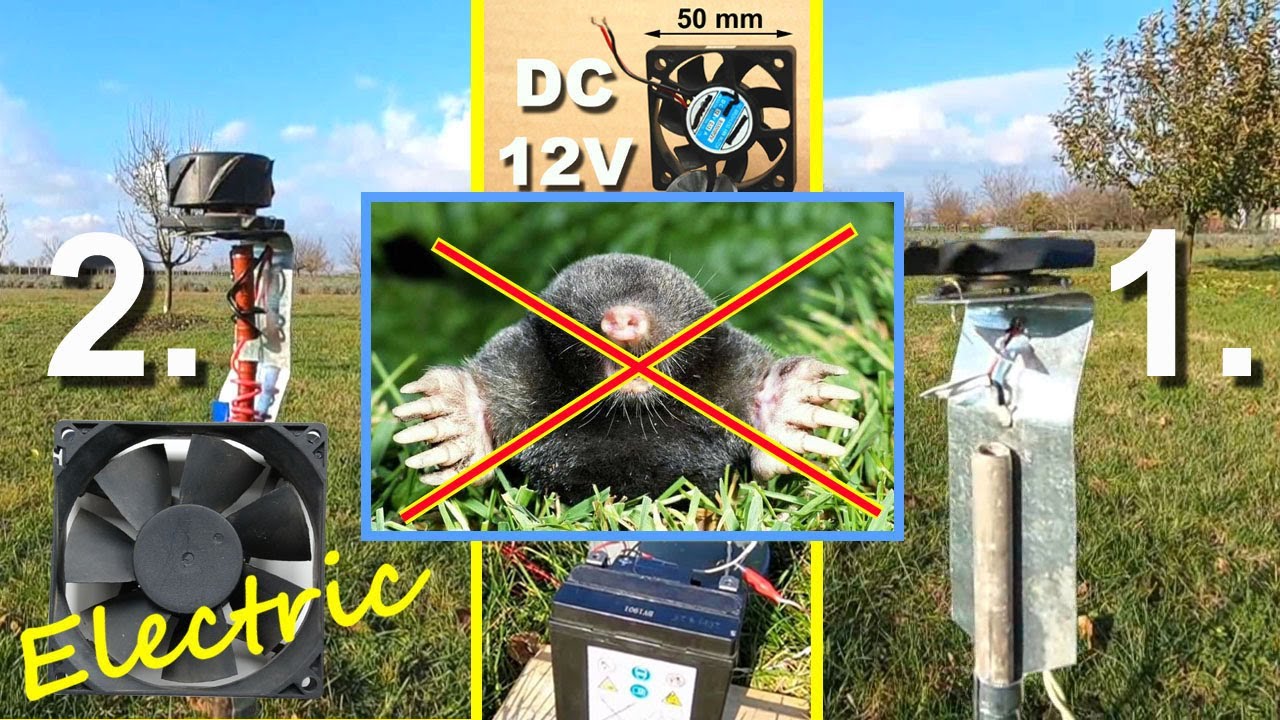 Vakondriasztó házilag Elektromos Homemade Electric Mole Repellent