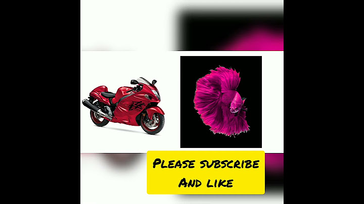 super bikes vs betta fish@AbdullahAbdullah-fu7sf