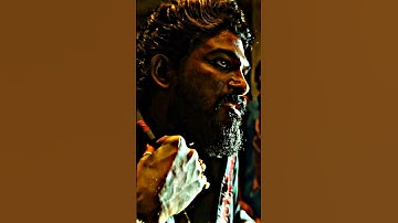 Pushpa 2 x don