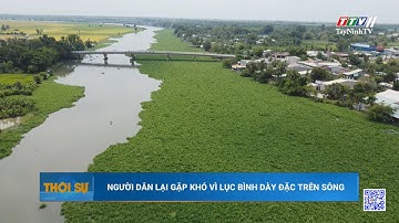 Người dân lại gặp khó vì lục bình dày đặc trên sông | TayNinhTV