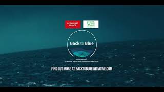 The Invisible Wave - Back to Blue