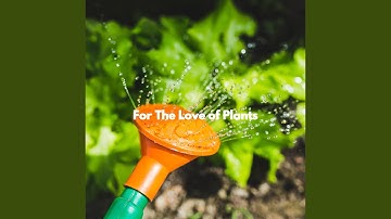 Scintillating Backdrops for Peaceful Rooms