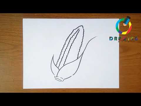 🔴How to Draw a Corn Cob | كيفية رسم كوز الذرة