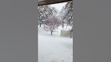 My wife could just about open the door so much snow