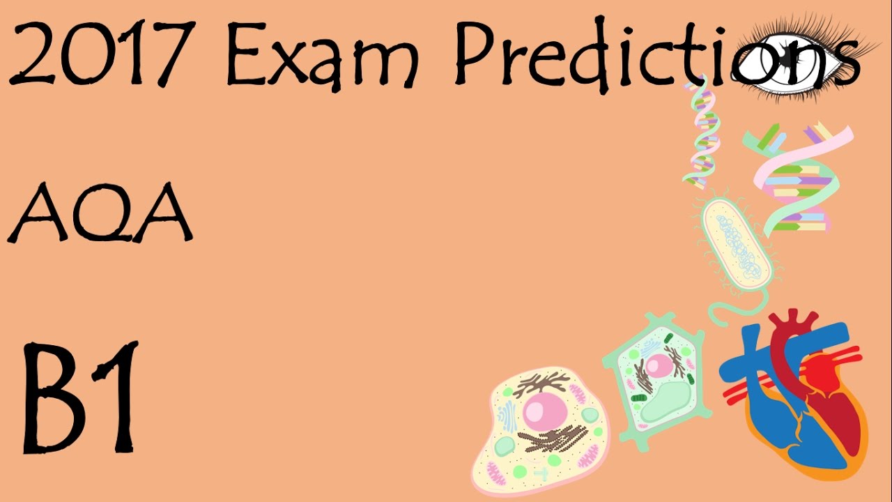 essay writing thesis latex