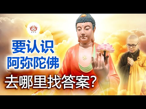 要认识阿弥陀佛，去哪里找答案？ 👼 | 净本法师 主讲
