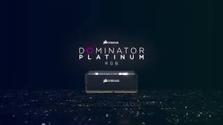 DOMINATOR PLATINUM RGB - 12 Ultra-Bright, Individually Addressable CAPELLIX RGB LEDs