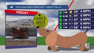 Dog-walking forecast (May 16, 2025)