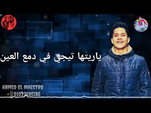 حلات واتس خاينين يا خاينين امين خطاب و بلال الفنان