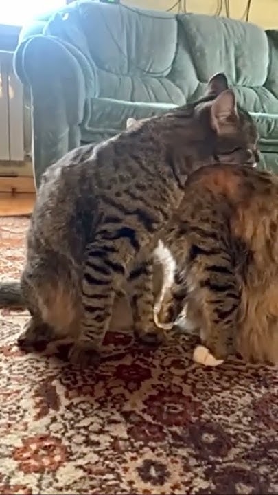 Мама и дочка) местные жительницы) #базаотдыхапермь # ...
