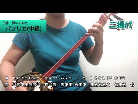 パプリカ／中級編（三線弾いてみたその８）