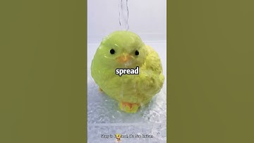 🚨 CLICK BIO LINK NOW! 100% FREE FULL NOVEL → TikTok CODE: yb889990