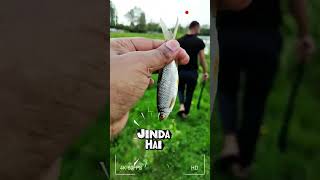 Russia me  Machhali marna🇷🇺🐟. #vlog #russia 😀🎣